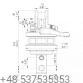 irs (1).png