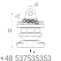 irs.png